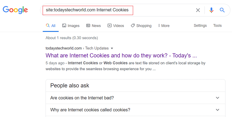 Google Search in a site