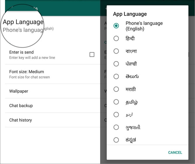 use-whatsapp-in-your-local-language