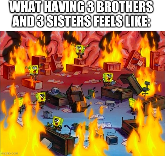 Spongebob brain chaos meme generator